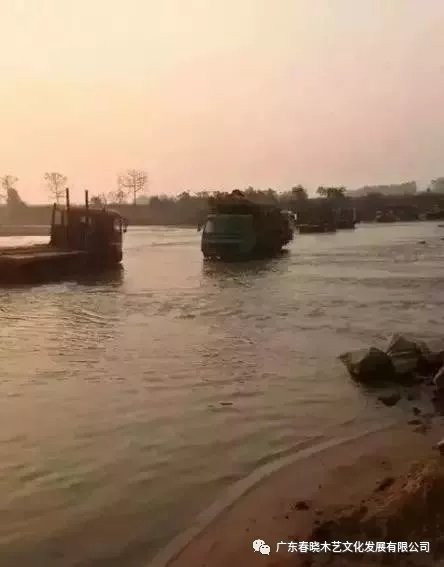 從非洲到中國(guó)，紅木的旅程可謂荊棘漫布(圖8)