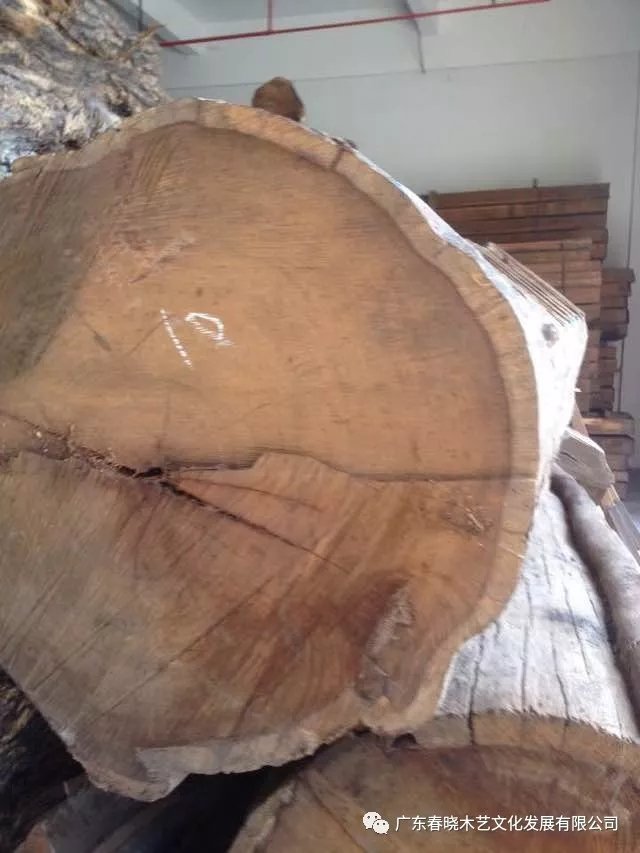 實(shí)木的價(jià)格，紅木的材質(zhì)，刺猬紫檀值得你擁有！(圖2)