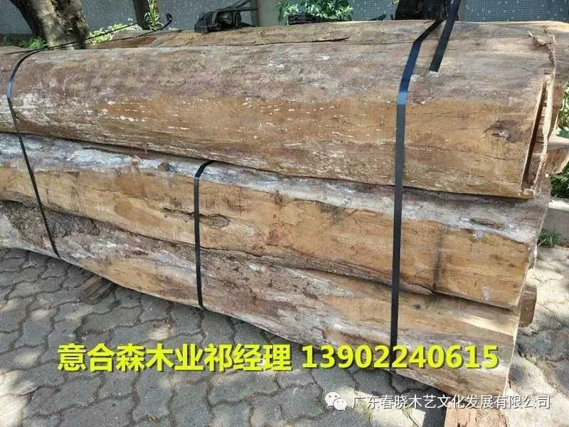 非洲花梨木：從2005年到2018年(圖1)